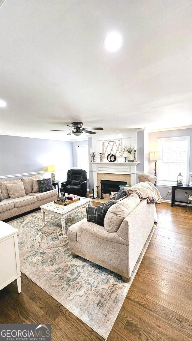 living room with wood-type flooring and ceiling fan