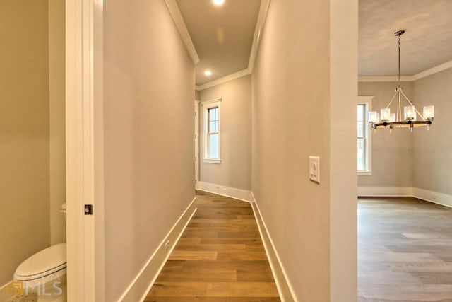 corridor featuring dark hardwood / wood-style flooring, ornamental molding, and a chandelier