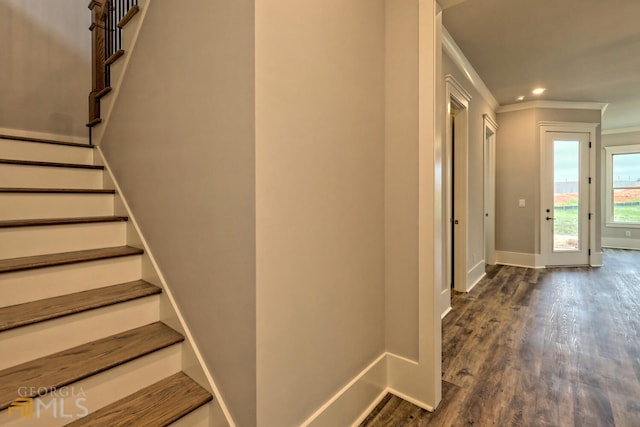 stairway featuring crown molding and dark hardwood / wood-style floors