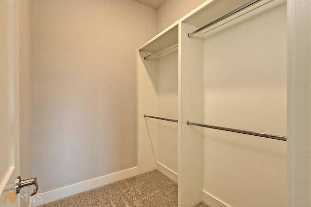 spacious closet with carpet flooring