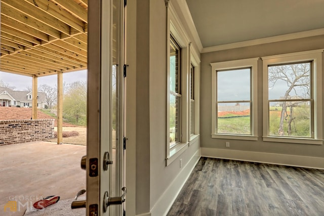 entryway featuring dark hardwood / wood-style floors