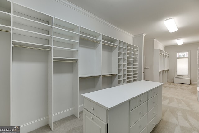 spacious closet featuring light carpet