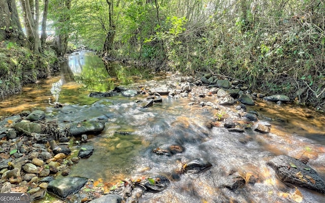 view of mother earth's splendor featuring a water view