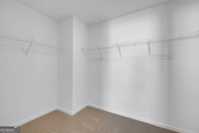 spacious closet with carpet flooring