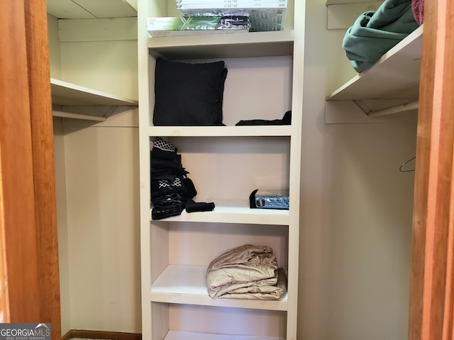 view of spacious closet