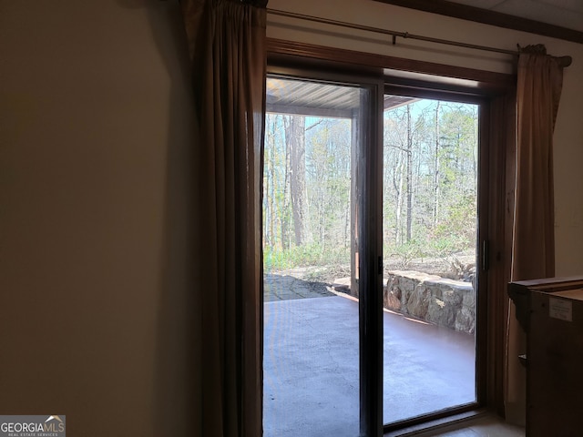 entryway featuring a wealth of natural light