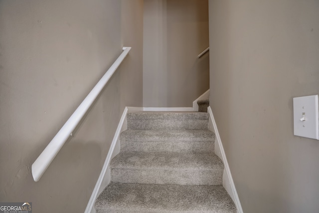 staircase with carpet floors