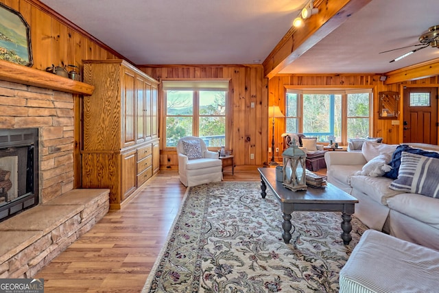 living room with a fireplace, wood walls, light hardwood / wood-style floors, and a healthy amount of sunlight