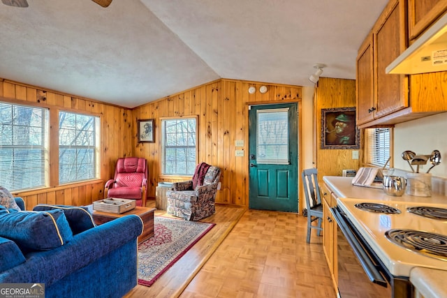 living room featuring vaulted ceiling, wooden walls, and a healthy amount of sunlight