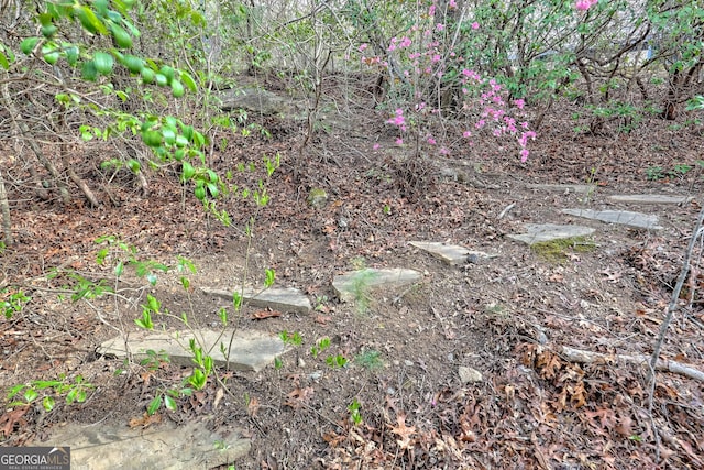 view of local wilderness