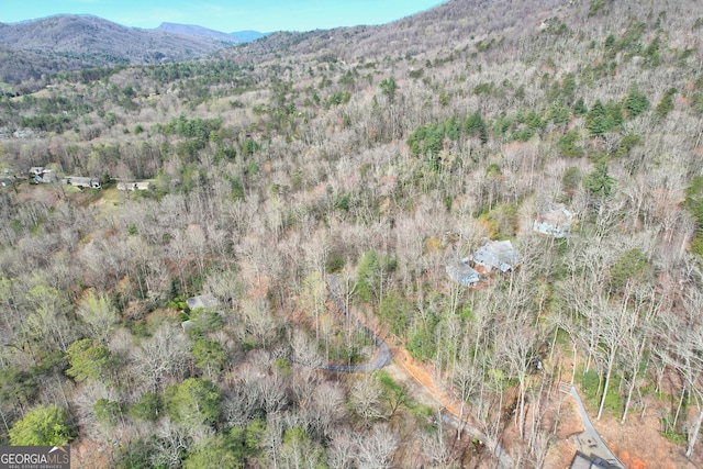 bird's eye view featuring a mountain view