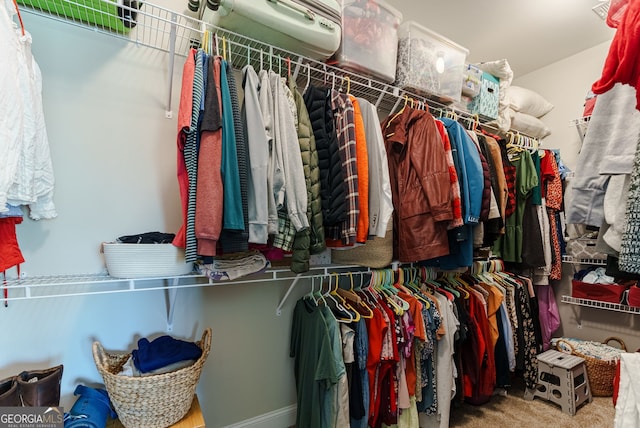 spacious closet with carpet