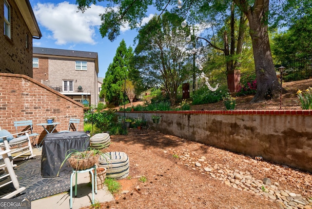 view of yard featuring a patio