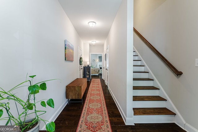 stairs featuring dark hardwood / wood-style floors