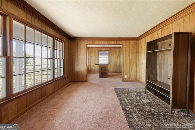 interior space with crown molding, carpet floors, a closet, and wooden walls