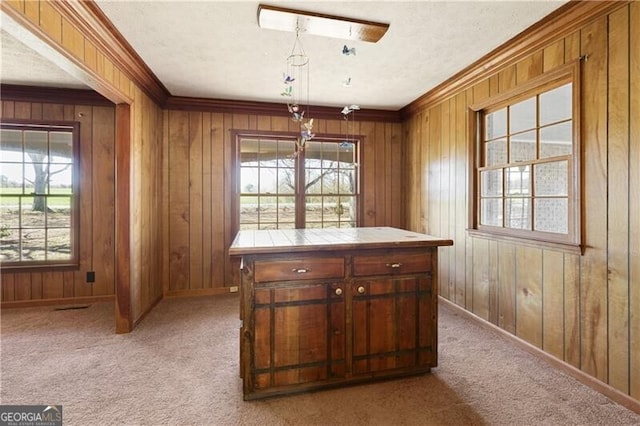 interior space with crown molding, a wealth of natural light, light carpet, and wooden walls