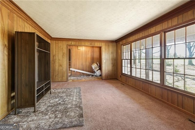 interior space with a textured ceiling and wood walls