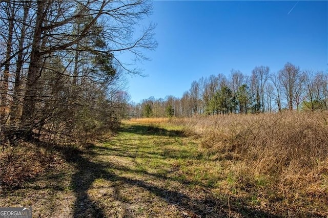 view of local wilderness