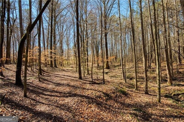 view of local wilderness