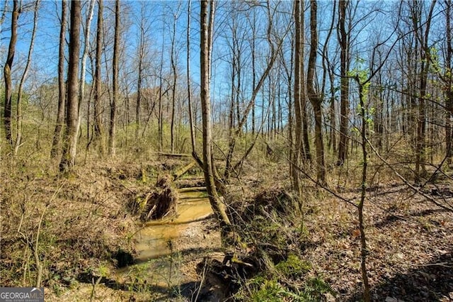 view of local wilderness