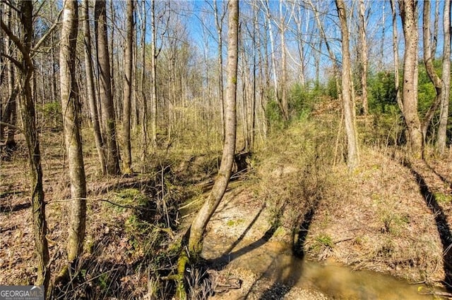 view of local wilderness