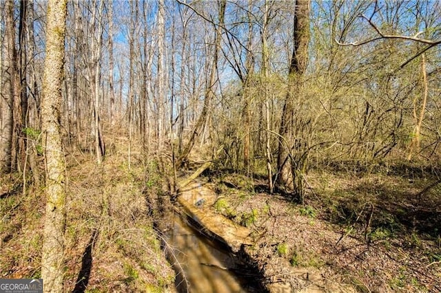 view of local wilderness