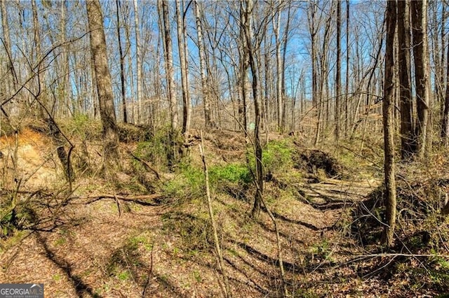 view of local wilderness