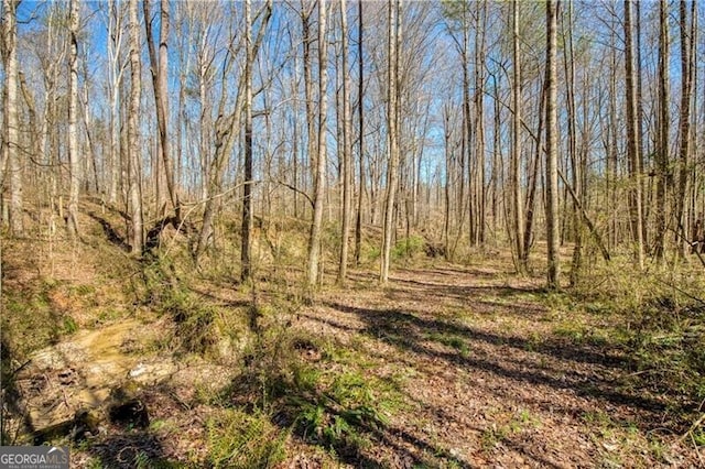 view of local wilderness