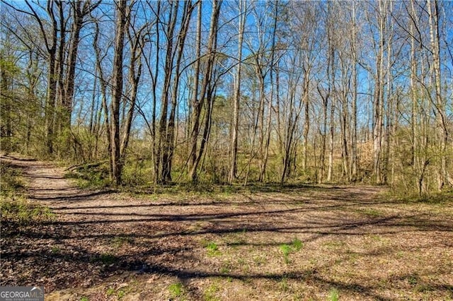 view of local wilderness