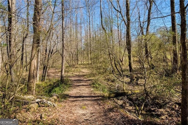 view of local wilderness