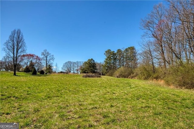 view of yard with a rural view