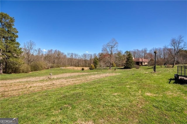 view of yard featuring a rural view