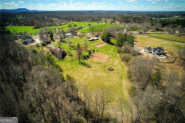 bird's eye view featuring a rural view