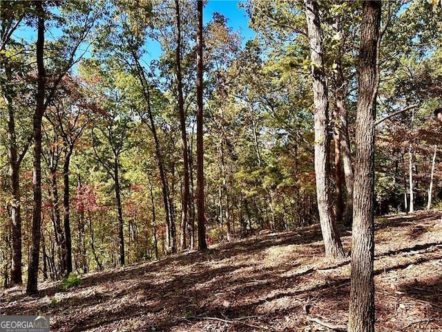 Listing photo 3 for 1405 Foxhound Trl NE, Ranger GA 30734