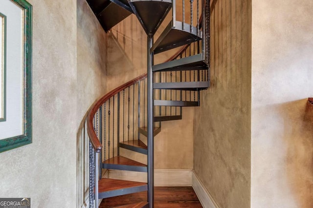 staircase with dark hardwood / wood-style flooring