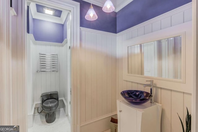 bathroom with toilet and vanity