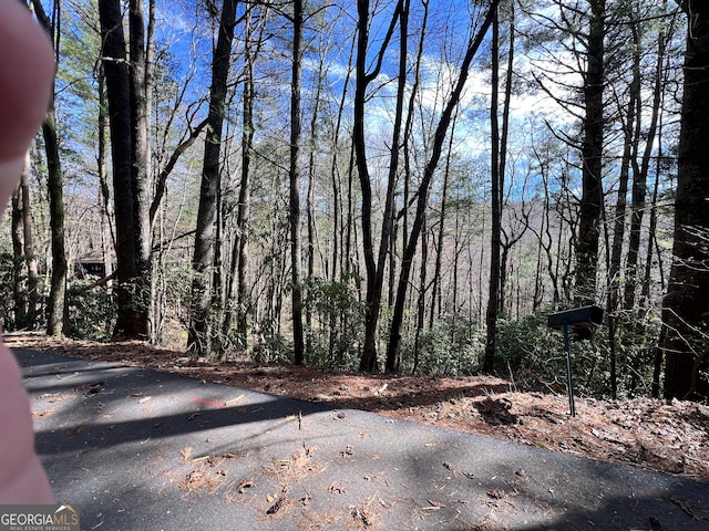 Listing photo 3 for 0 Rebel Cir, Sky Valley GA 30537