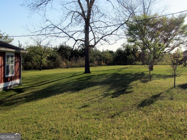 view of yard