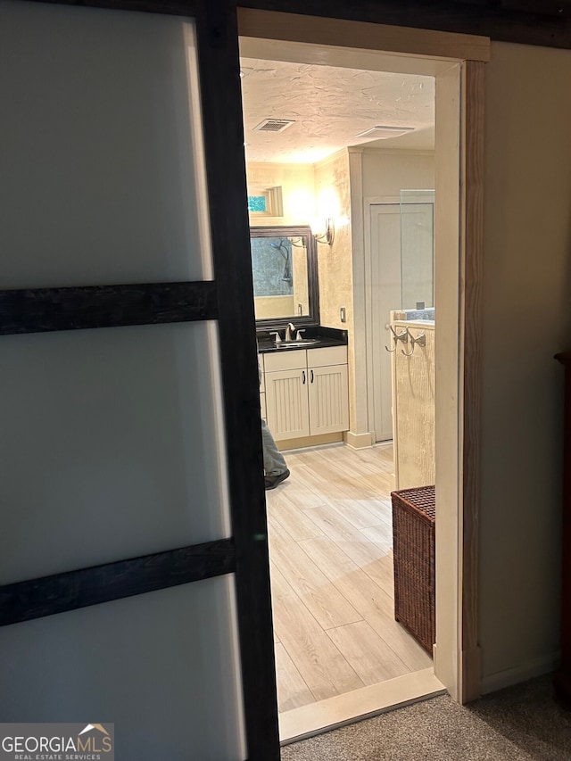 hall with sink and light hardwood / wood-style flooring