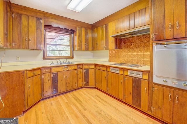 kitchen featuring sink, premium range hood, and light wood-type flooring