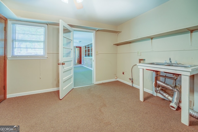 interior space with light carpet