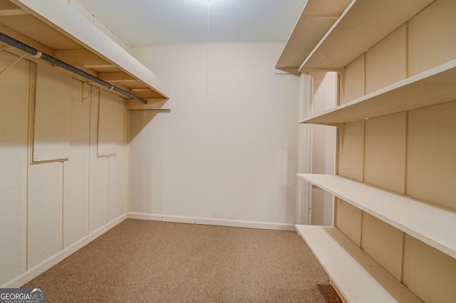 walk in closet with light carpet