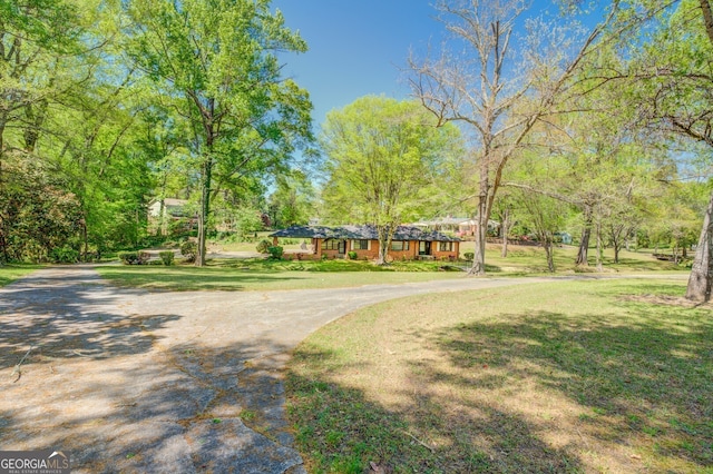 view of property's community featuring a lawn