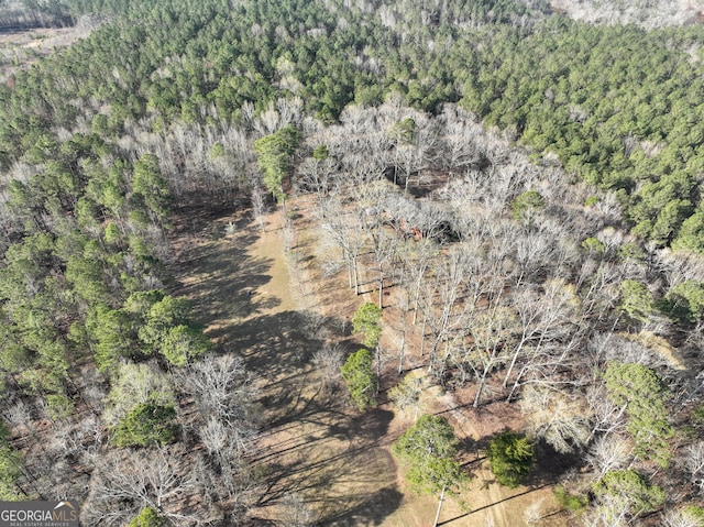 view of bird's eye view