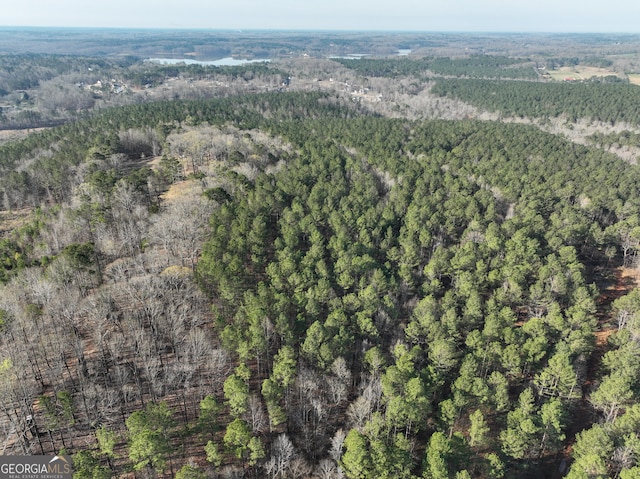 view of bird's eye view