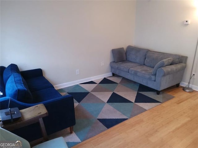 living room featuring wood-type flooring