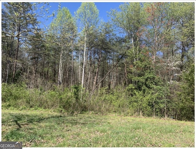 LOT42450 Beachwood Dr Lot 43, Cornelia, GA 30531 - view of nature featuring a forest view