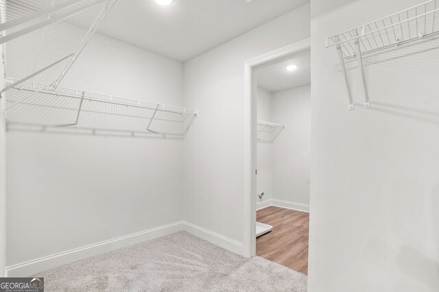 spacious closet with wood-type flooring