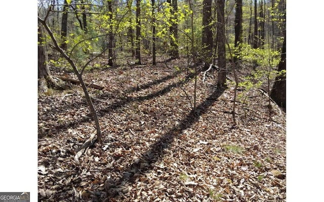 M99 Sleepy Hollow Rd Unit M99, Ellijay, GA 30536