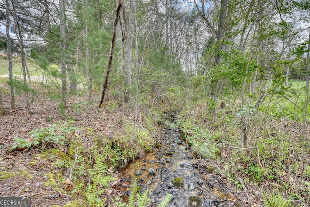 view of nature